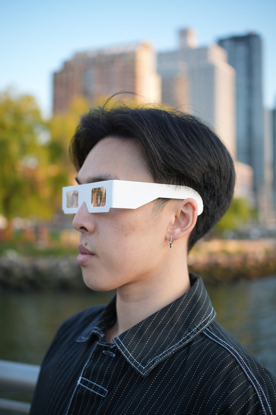 DICKfraction glasses