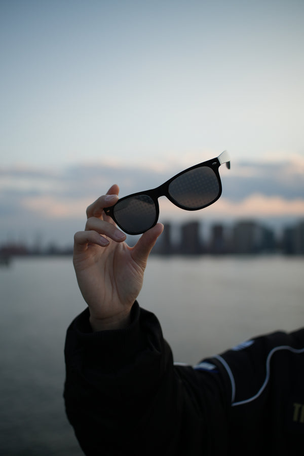 DICKfraction glasses